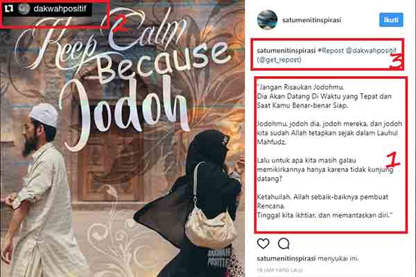 Kelebihan Repost for Instagram